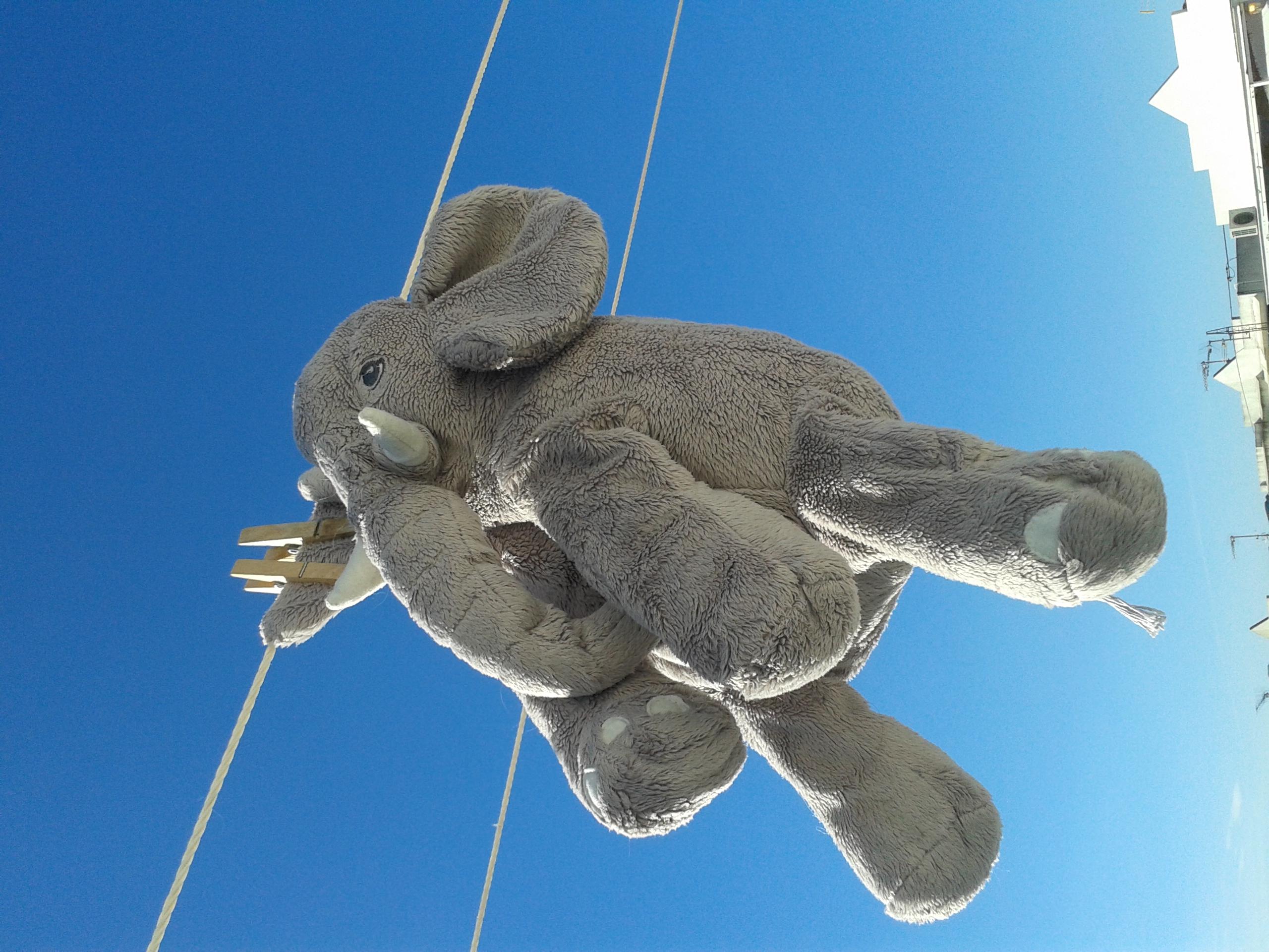 Elefante volando.